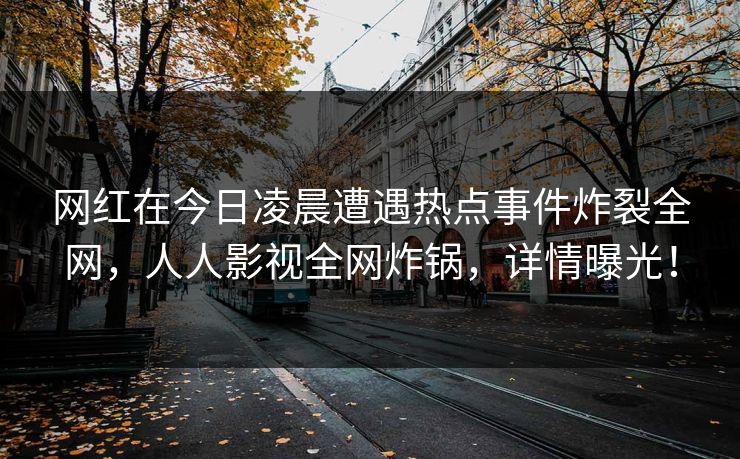 网红在今日凌晨遭遇热点事件炸裂全网，人人影视全网炸锅，详情曝光！