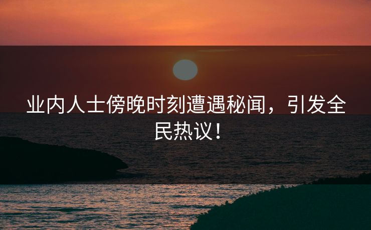 业内人士傍晚时刻遭遇秘闻，引发全民热议！