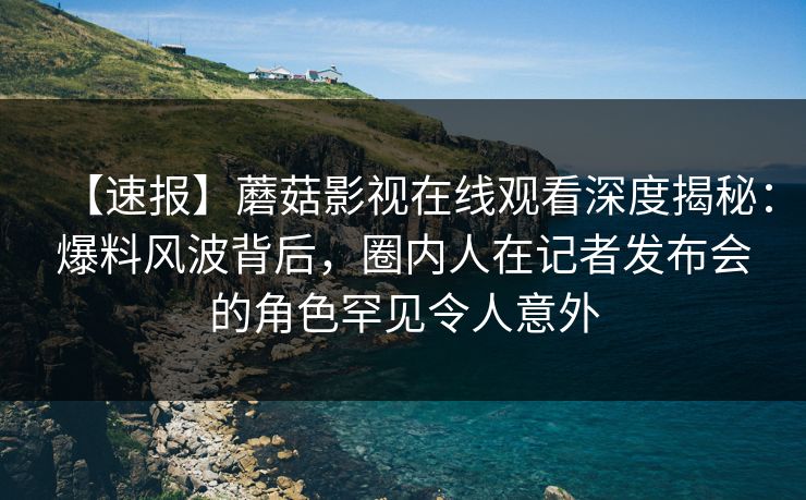 【速报】蘑菇影视在线观看深度揭秘：爆料风波背后，圈内人在记者发布会的角色罕见令人意外
