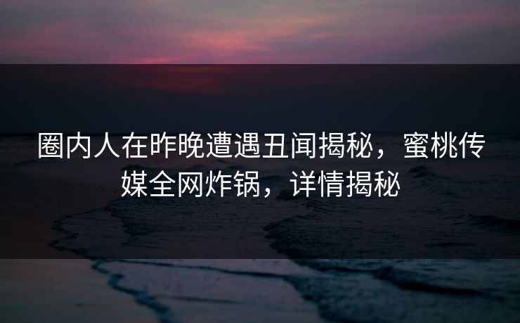圈内人在昨晚遭遇丑闻揭秘，蜜桃传媒全网炸锅，详情揭秘