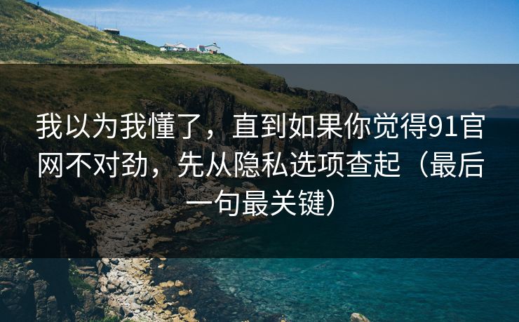 我以为我懂了，直到如果你觉得91官网不对劲，先从隐私选项查起（最后一句最关键）